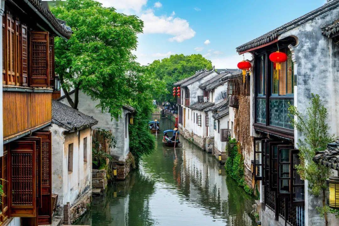 小长颈鹿逃离